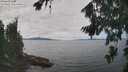 ./images/koeye/fitz-hugh/20260818/fitz-hugh20260818_124002M.jpg