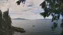./images/koeye/fitz-hugh/20260818/fitz-hugh20260818_125501M.jpg