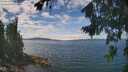 ./images/koeye/fitz-hugh/20260818/fitz-hugh20260818_131001M.jpg
