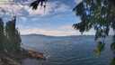 ./images/koeye/fitz-hugh/20260818/fitz-hugh20260818_132501M.jpg