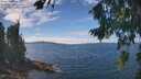./images/koeye/fitz-hugh/20260818/fitz-hugh20260818_133501M.jpg