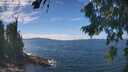 ./images/koeye/fitz-hugh/20260818/fitz-hugh20260818_134001M.jpg
