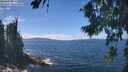 ./images/koeye/fitz-hugh/20260818/fitz-hugh20260818_134502M.jpg
