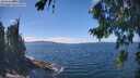 ./images/koeye/fitz-hugh/20260818/fitz-hugh20260818_135001M.jpg