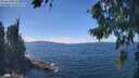 ./images/koeye/fitz-hugh/20260818/fitz-hugh20260818_135501M.jpg