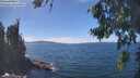 ./images/koeye/fitz-hugh/20260818/fitz-hugh20260818_140001M.jpg