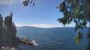 ./images/koeye/fitz-hugh/20260818/fitz-hugh20260818_140501M.jpg