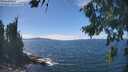 ./images/koeye/fitz-hugh/20260818/fitz-hugh20260818_141001M.jpg