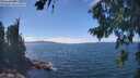 ./images/koeye/fitz-hugh/20260818/fitz-hugh20260818_141501M.jpg