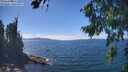 ./images/koeye/fitz-hugh/20260818/fitz-hugh20260818_142001M.jpg