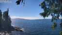 ./images/koeye/fitz-hugh/20260818/fitz-hugh20260818_142501M.jpg