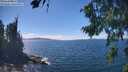 ./images/koeye/fitz-hugh/20260818/fitz-hugh20260818_143001M.jpg
