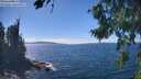 ./images/koeye/fitz-hugh/20260818/fitz-hugh20260818_143501M.jpg