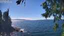 ./images/koeye/fitz-hugh/20260818/fitz-hugh20260818_144501M.jpg