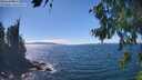 ./images/koeye/fitz-hugh/20260818/fitz-hugh20260818_145001M.jpg