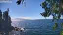 ./images/koeye/fitz-hugh/20260818/fitz-hugh20260818_145501M.jpg