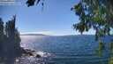 ./images/koeye/fitz-hugh/20260818/fitz-hugh20260818_150502M.jpg