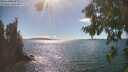 ./images/koeye/fitz-hugh/20260818/fitz-hugh20260818_161501M.jpg