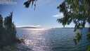 ./images/koeye/fitz-hugh/20260818/fitz-hugh20260818_162001M.jpg