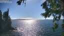 ./images/koeye/fitz-hugh/20260818/fitz-hugh20260818_164001M.jpg