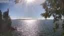 ./images/koeye/fitz-hugh/20260818/fitz-hugh20260818_164501M.jpg