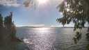 ./images/koeye/fitz-hugh/20260818/fitz-hugh20260818_165001M.jpg