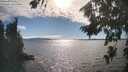 ./images/koeye/fitz-hugh/20260818/fitz-hugh20260818_170002M.jpg