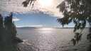 ./images/koeye/fitz-hugh/20260818/fitz-hugh20260818_170501M.jpg