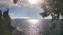 ./images/koeye/fitz-hugh/20260818/fitz-hugh20260818_171501M.jpg