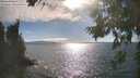 ./images/koeye/fitz-hugh/20260818/fitz-hugh20260818_172001M.jpg
