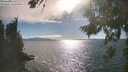 ./images/koeye/fitz-hugh/20260818/fitz-hugh20260818_172501M.jpg