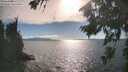./images/koeye/fitz-hugh/20260818/fitz-hugh20260818_173001M.jpg