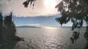 ./images/koeye/fitz-hugh/20260818/fitz-hugh20260818_173501M.jpg