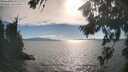 ./images/koeye/fitz-hugh/20260818/fitz-hugh20260818_174001M.jpg