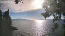 ./images/koeye/fitz-hugh/20260818/fitz-hugh20260818_175001M.jpg
