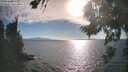 ./images/koeye/fitz-hugh/20260818/fitz-hugh20260818_175502M.jpg