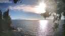 ./images/koeye/fitz-hugh/20260818/fitz-hugh20260818_182001M.jpg