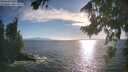 ./images/koeye/fitz-hugh/20260818/fitz-hugh20260818_183001M.jpg