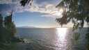 ./images/koeye/fitz-hugh/20260818/fitz-hugh20260818_183501M.jpg