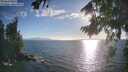 ./images/koeye/fitz-hugh/20260818/fitz-hugh20260818_184001M.jpg