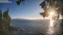 ./images/koeye/fitz-hugh/20260818/fitz-hugh20260818_194501M.jpg