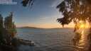 ./images/koeye/fitz-hugh/20260818/fitz-hugh20260818_203001M.jpg