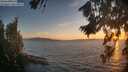 ./images/koeye/fitz-hugh/20260818/fitz-hugh20260818_203501M.jpg