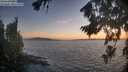 ./images/koeye/fitz-hugh/20260818/fitz-hugh20260818_205002M.jpg