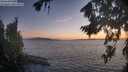./images/koeye/fitz-hugh/20260818/fitz-hugh20260818_205501M.jpg