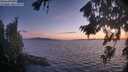 ./images/koeye/fitz-hugh/20260818/fitz-hugh20260818_210501M.jpg