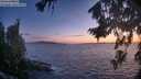 ./images/koeye/fitz-hugh/20260818/fitz-hugh20260818_211001M.jpg