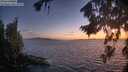 ./images/koeye/fitz-hugh/20260818/fitz-hugh20260818_212001M.jpg