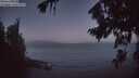 ./images/koeye/fitz-hugh/20260819/fitz-hugh20260819_054001M.jpg