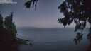./images/koeye/fitz-hugh/20260819/fitz-hugh20260819_054501M.jpg